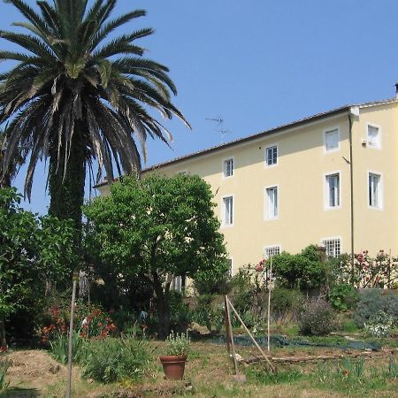 Casa Marce A "Sonno" Bed & Breakfast Porcari Exterior photo