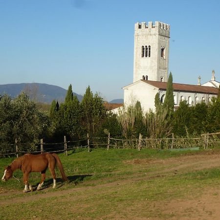 Casa Marce A "Sonno" Bed & Breakfast Porcari Exterior photo